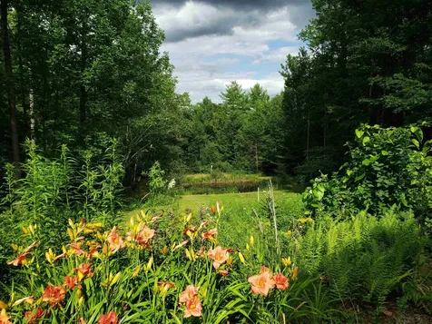 192 Lakeridge Road Guilford VT 05301