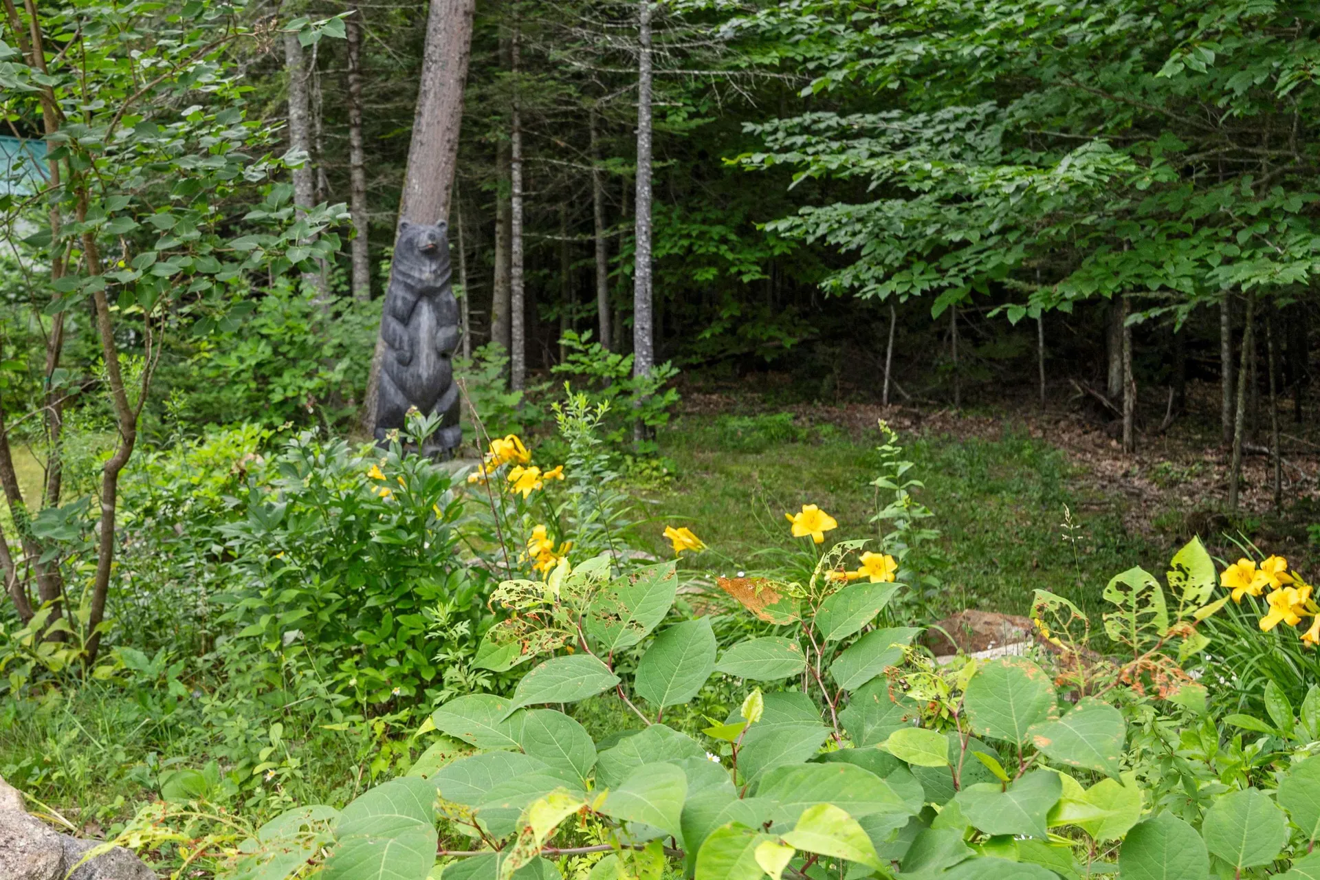 47 Dale Road Sandwich NH 03227