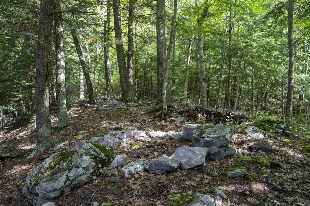 1344 Lake Dunmore Road Leicester VT 05733