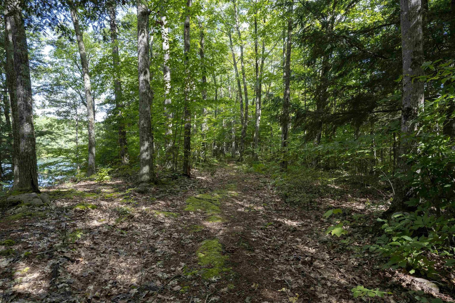 1344 Lake Dunmore Road Leicester VT 05733