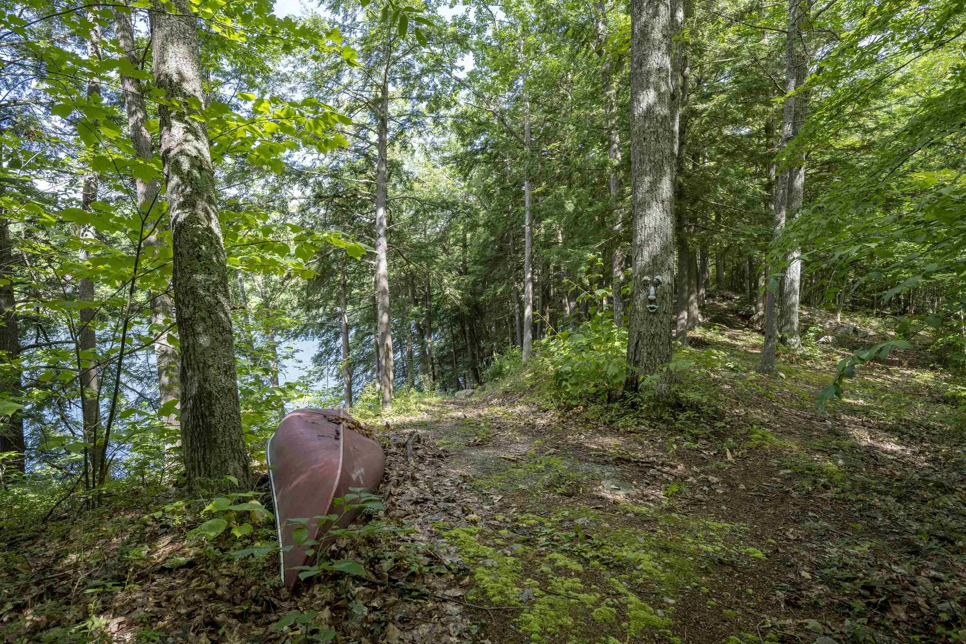 1344 Lake Dunmore Road Leicester VT 05733