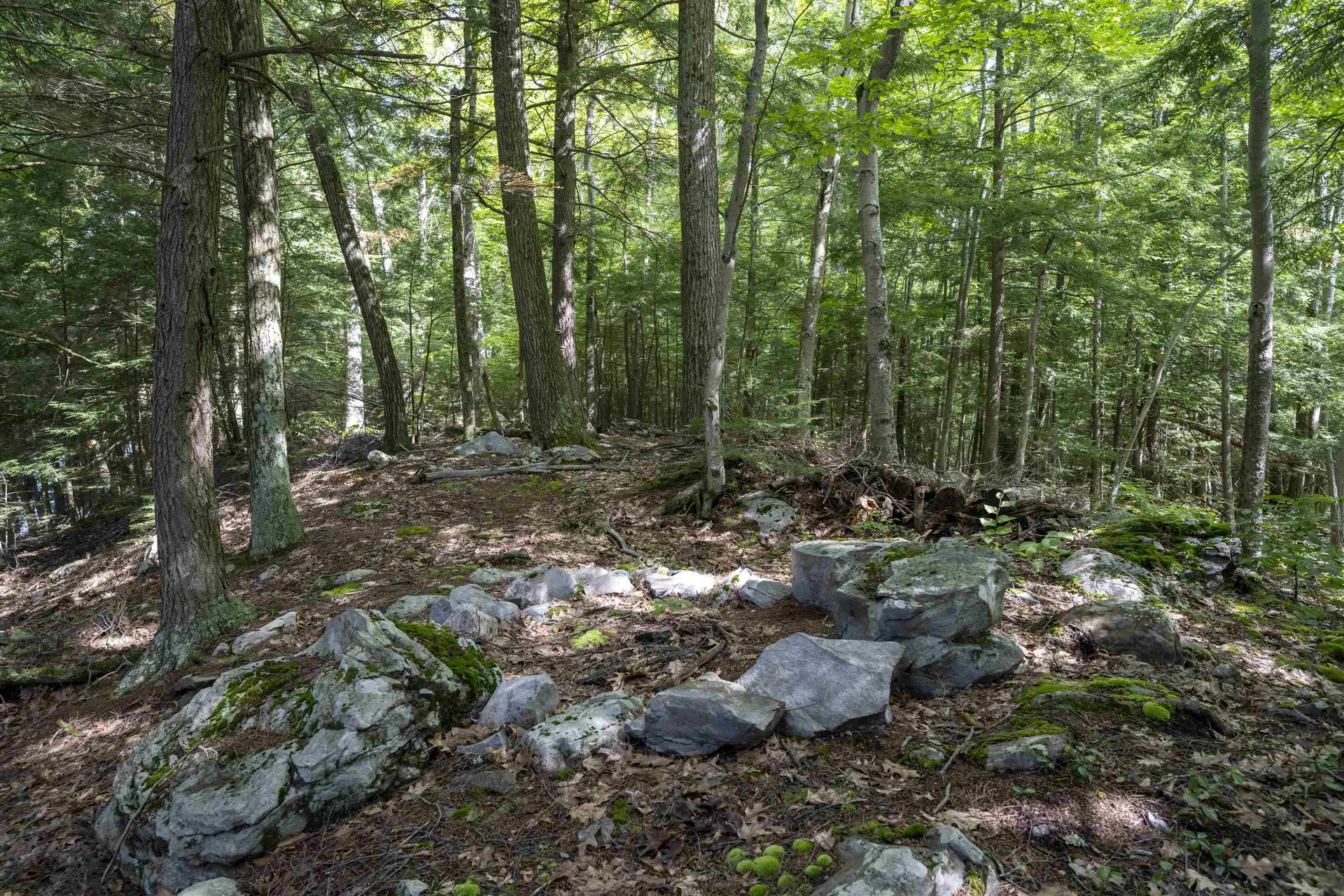 1344 Lake Dunmore Road Leicester VT 05733