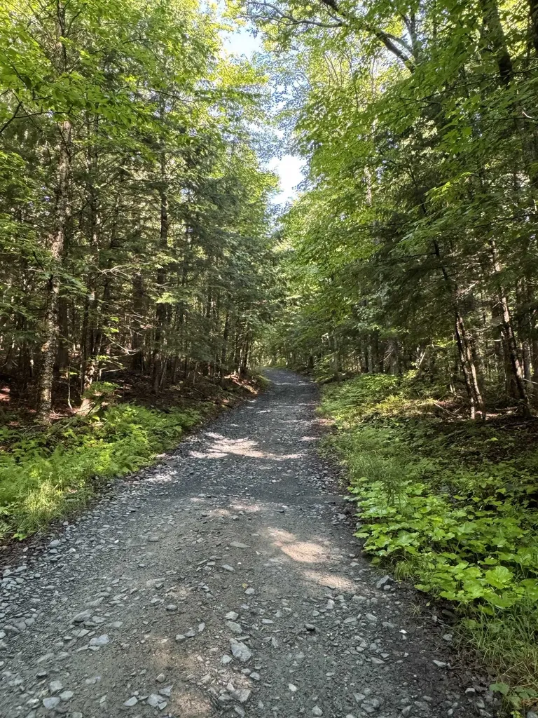 00 Manley Hill Road West Fairlee VT 05083