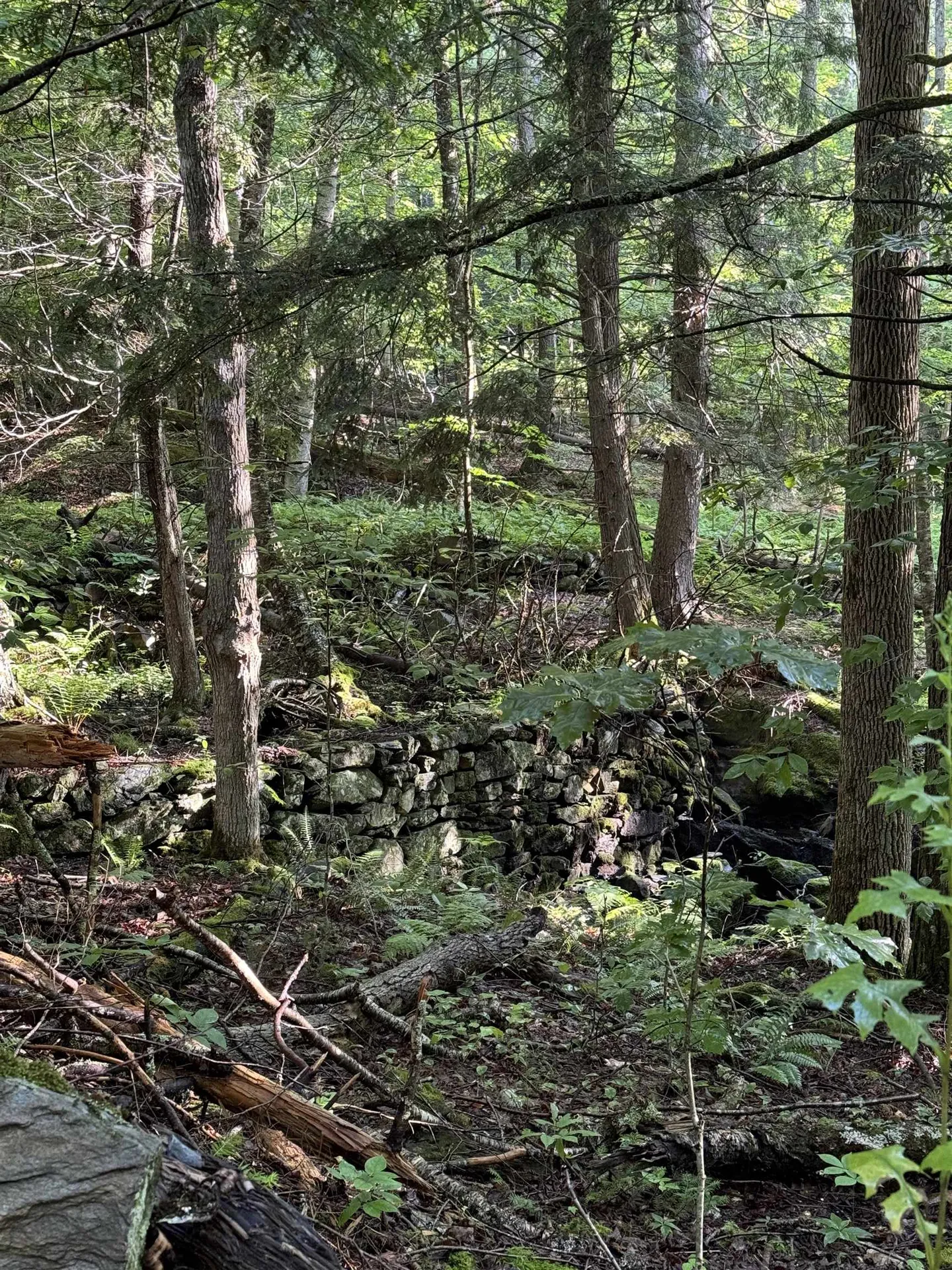 00 Manley Hill Road West Fairlee VT 05083