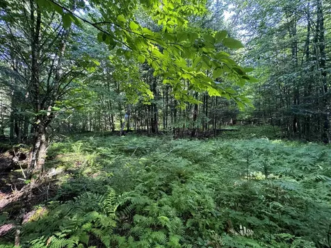 00 Manley Hill Road West Fairlee VT 05083