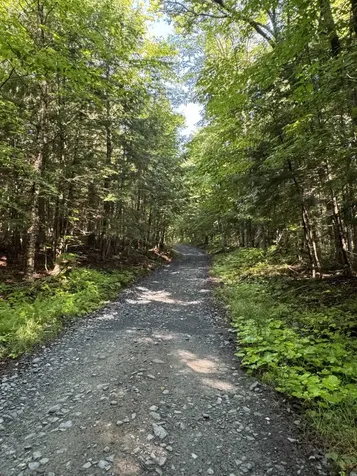 00 Manley Hill Road West Fairlee VT 05083