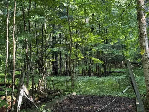 00 Manley Hill Road West Fairlee VT 05083