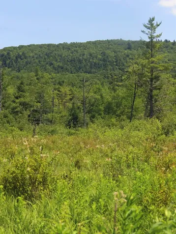 0 Sunset Drive Bennington VT 05201