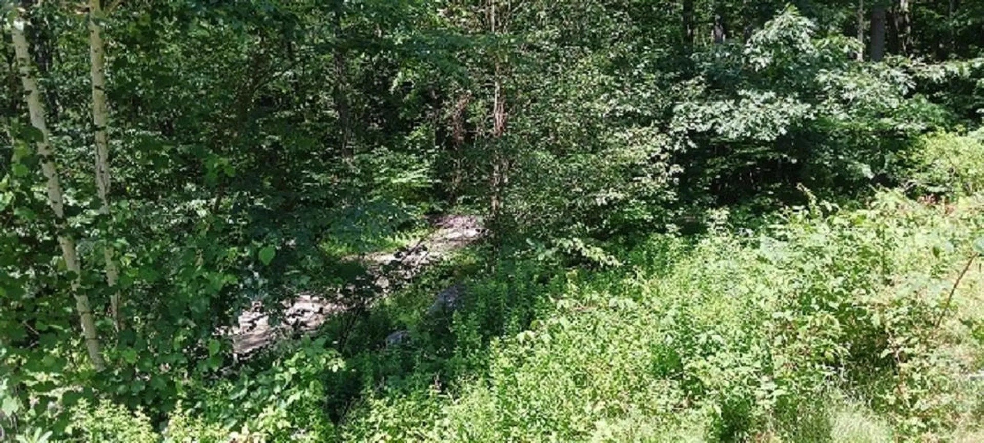 168 Gunn Mount Road Winchester NH 03470