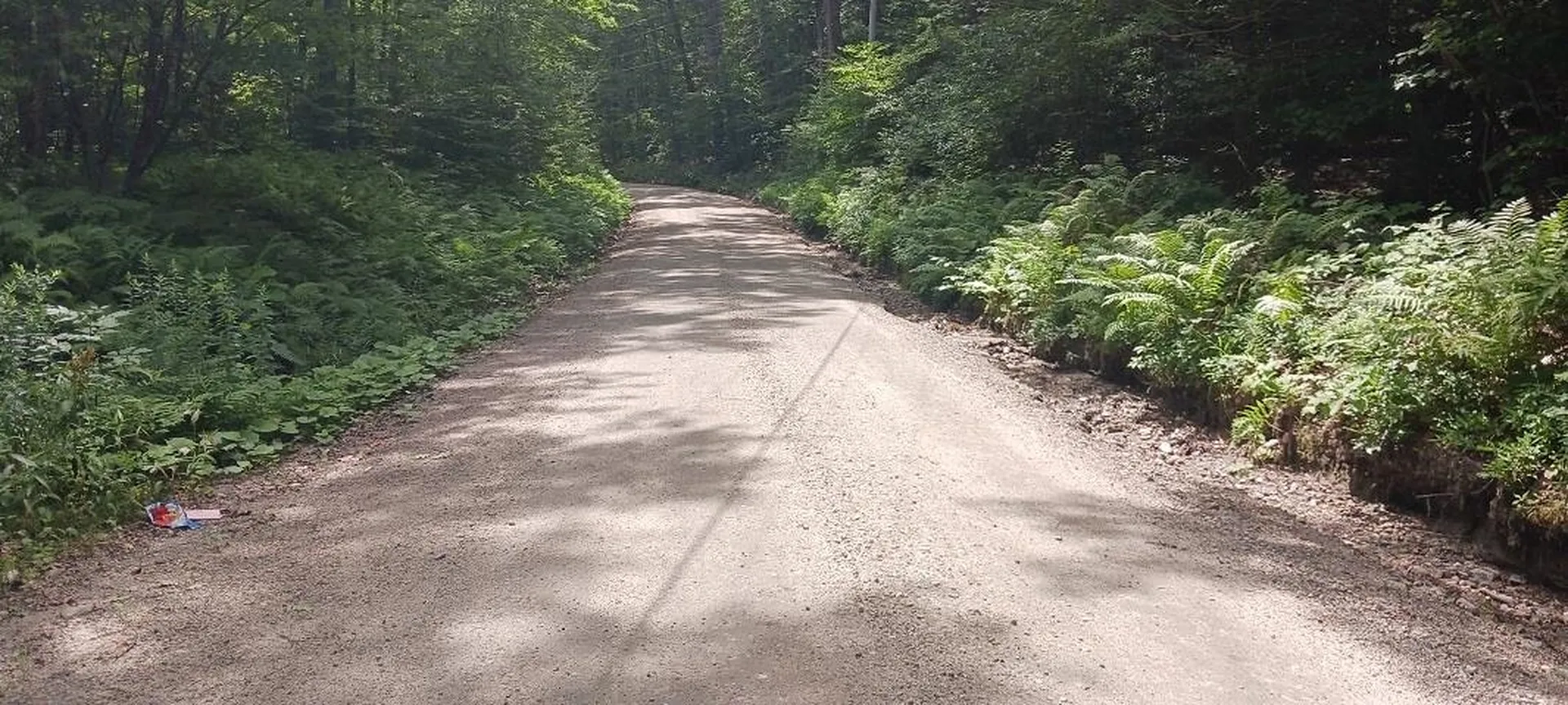 168 Gunn Mount Road Winchester NH 03470