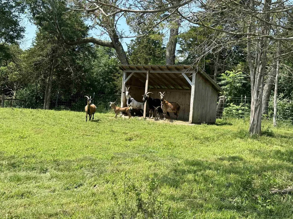1289 James Road Weybridge VT 05753