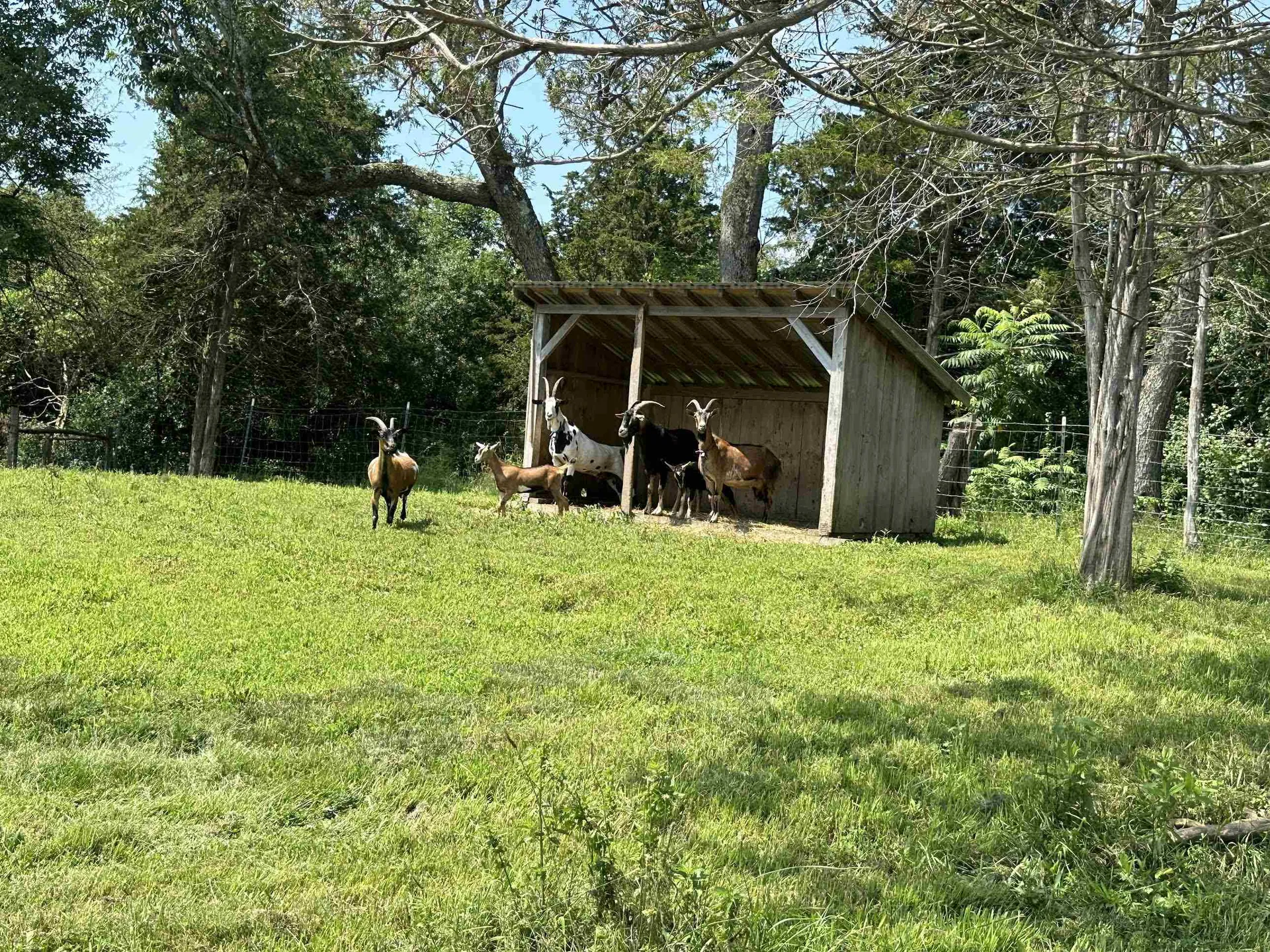 1289 James Road Weybridge VT 05753