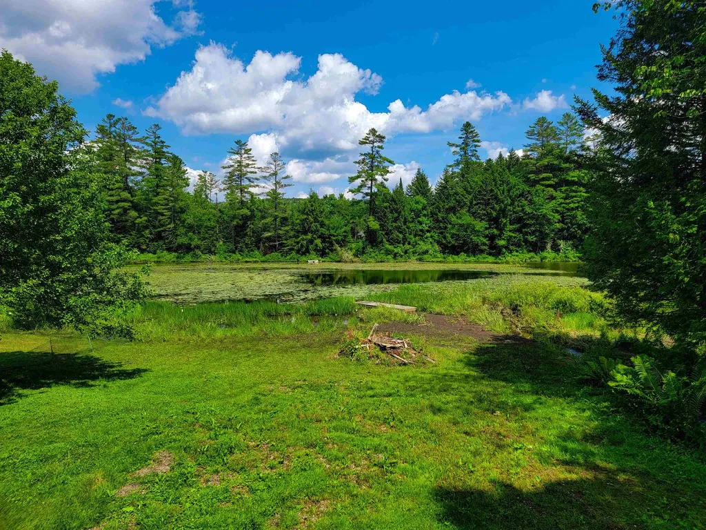 321 Herricks Cove Road Woodbury VT 05650