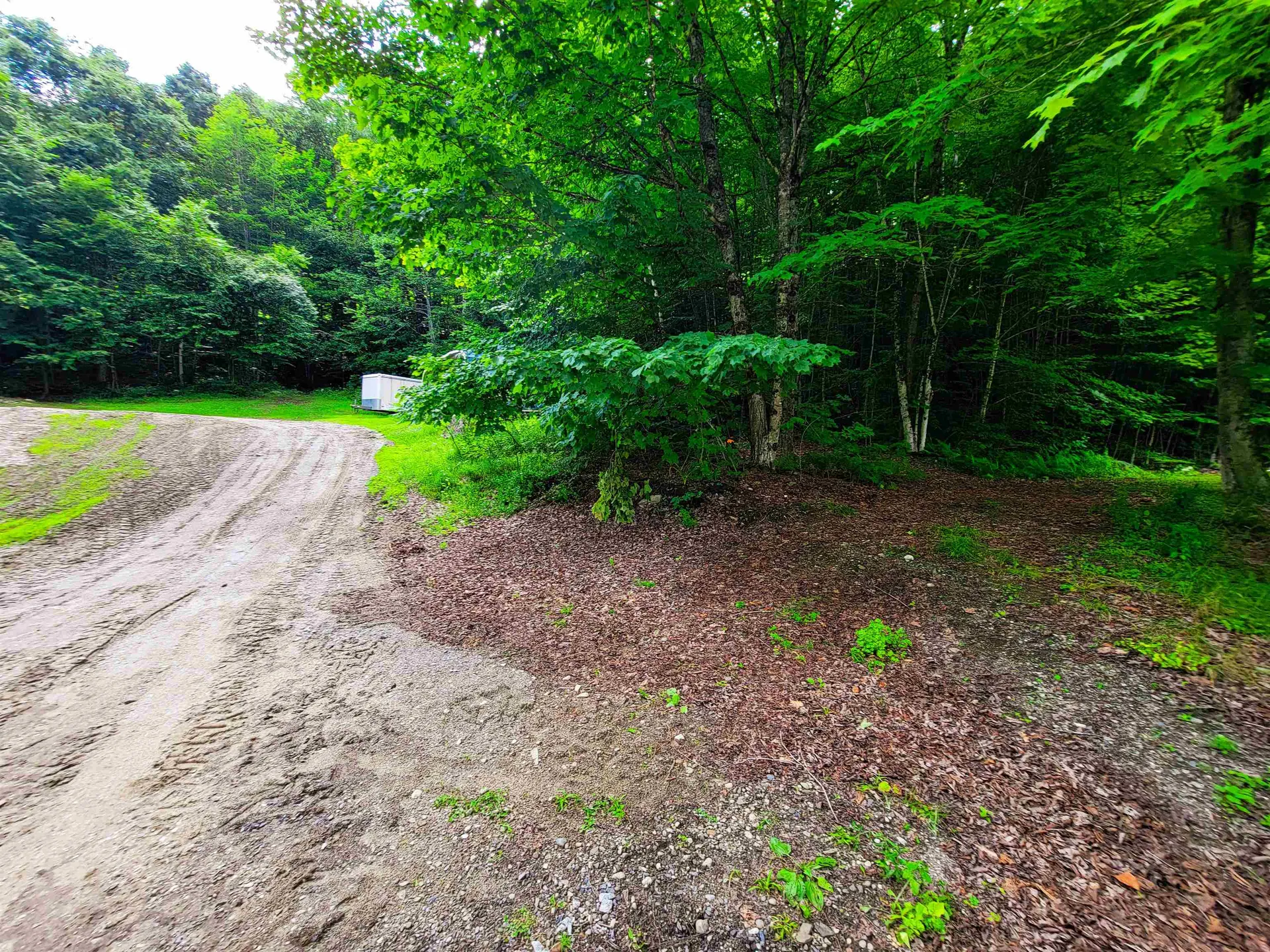 321 Herricks Cove Road Woodbury VT 05650