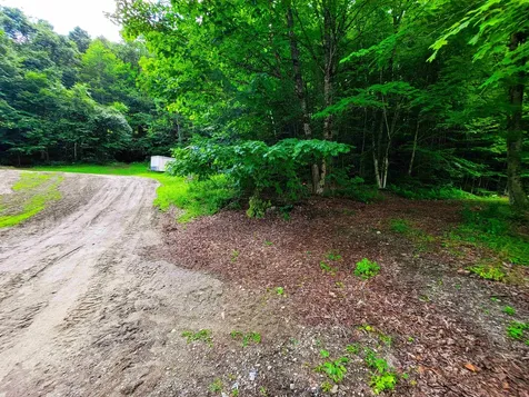 321 Herricks Cove Road Woodbury VT 05650