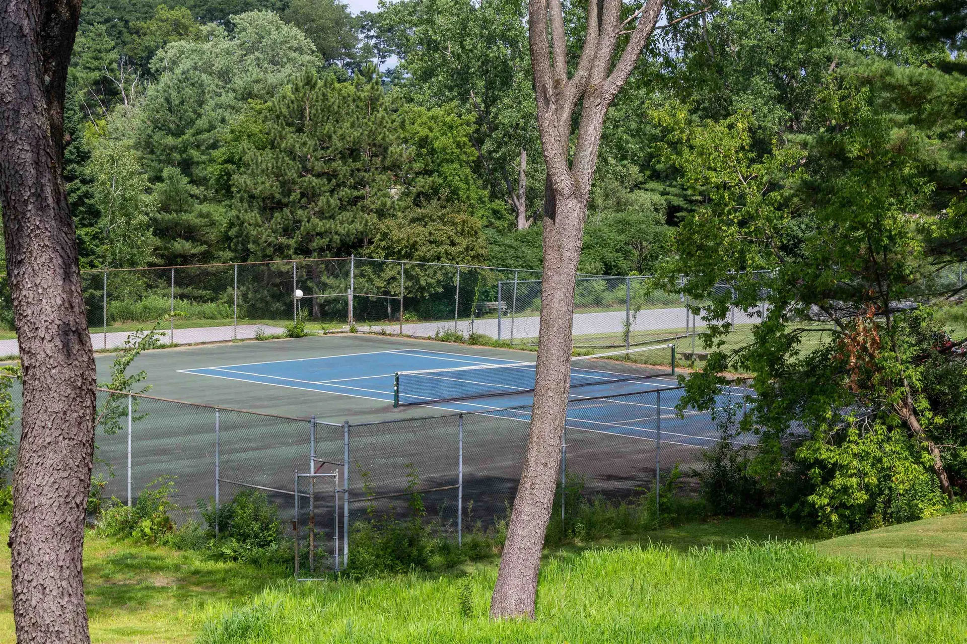 16 Bayberry Lane South Burlington VT 05403