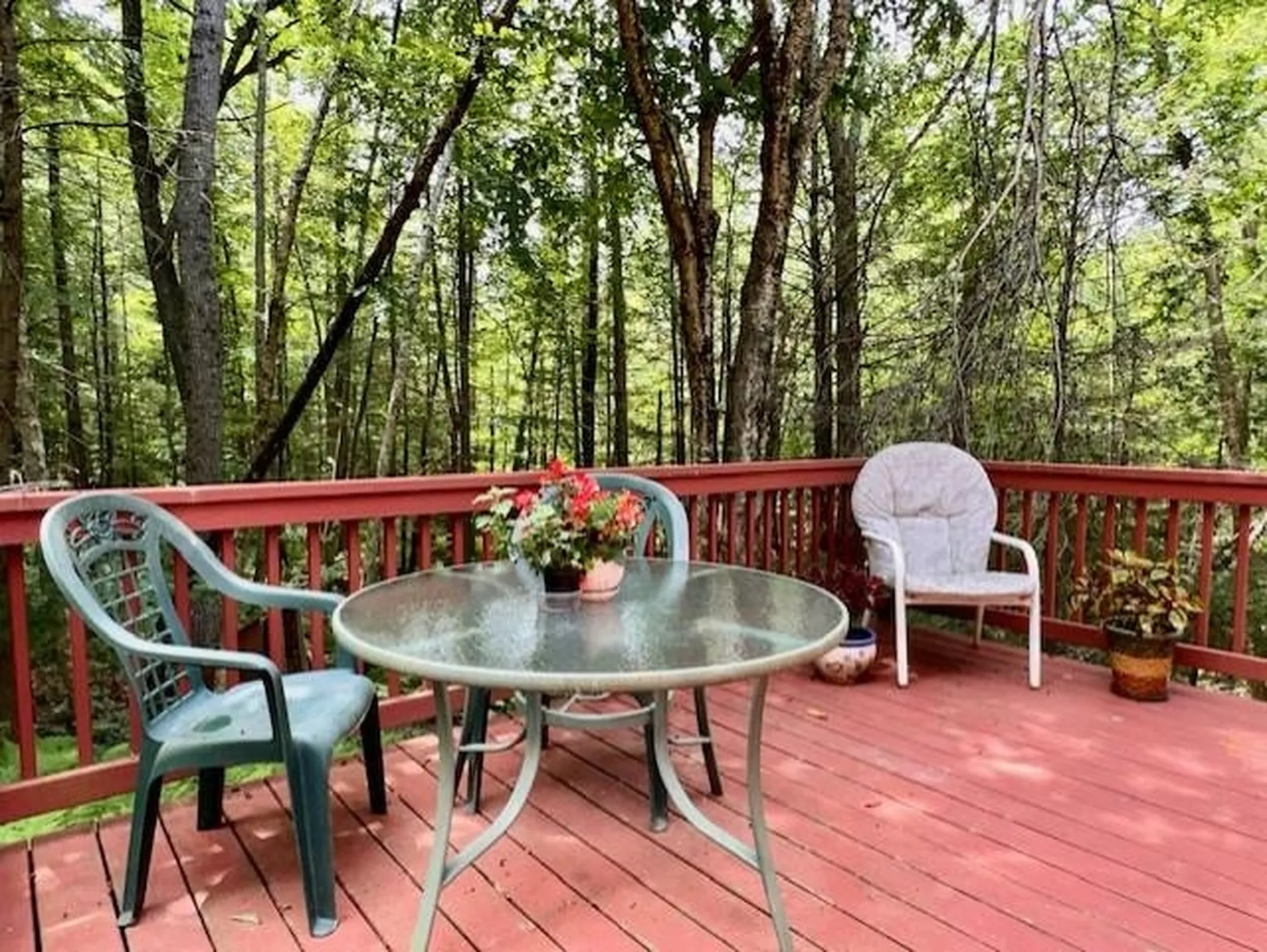 17 Baas Drive Wolfeboro NH 03894