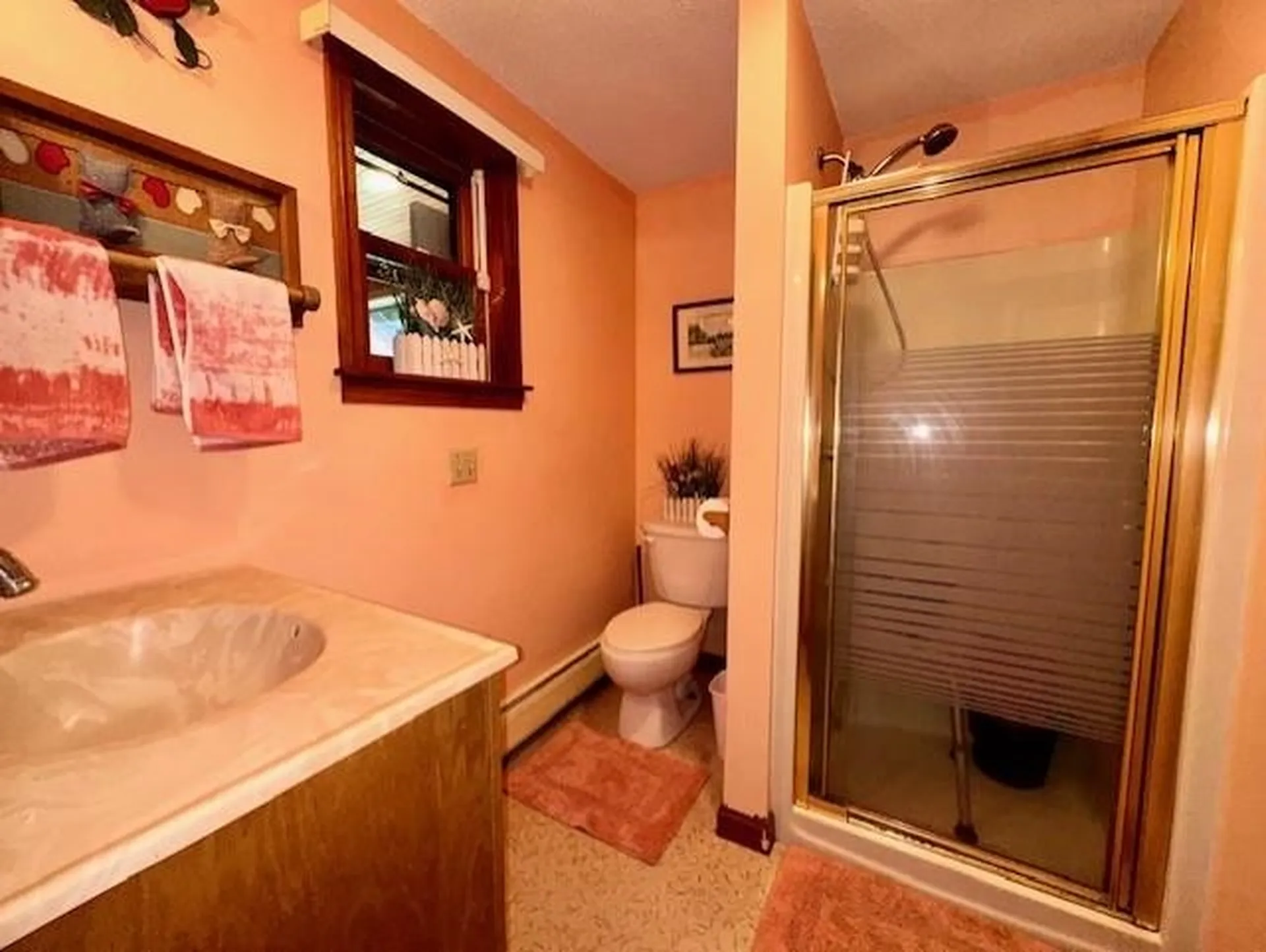 17 Baas Drive Wolfeboro NH 03894