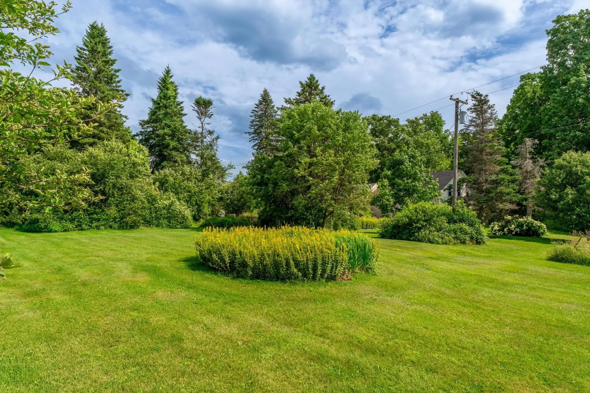 9 Dawley Road Mount Holly VT 05758
