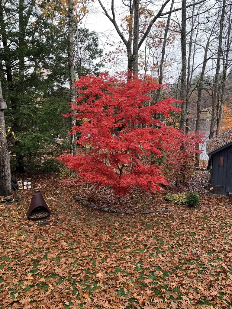 132 Varney Road Barnstead NH 03225
