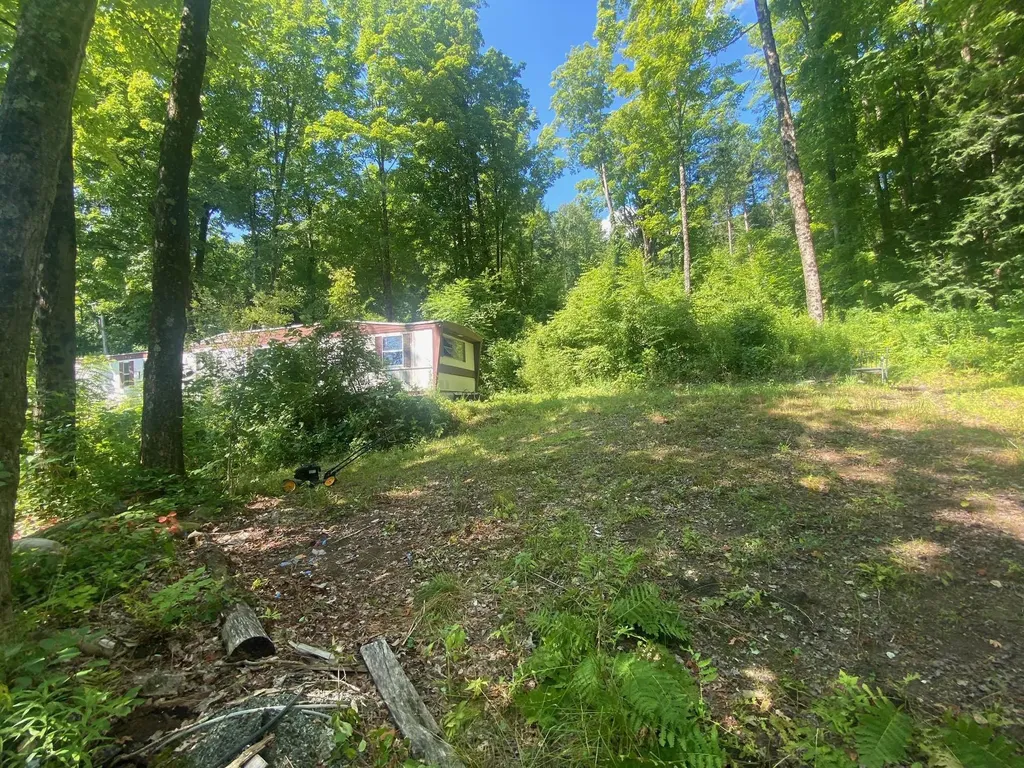 171 Southridge Street Springfield VT 05156