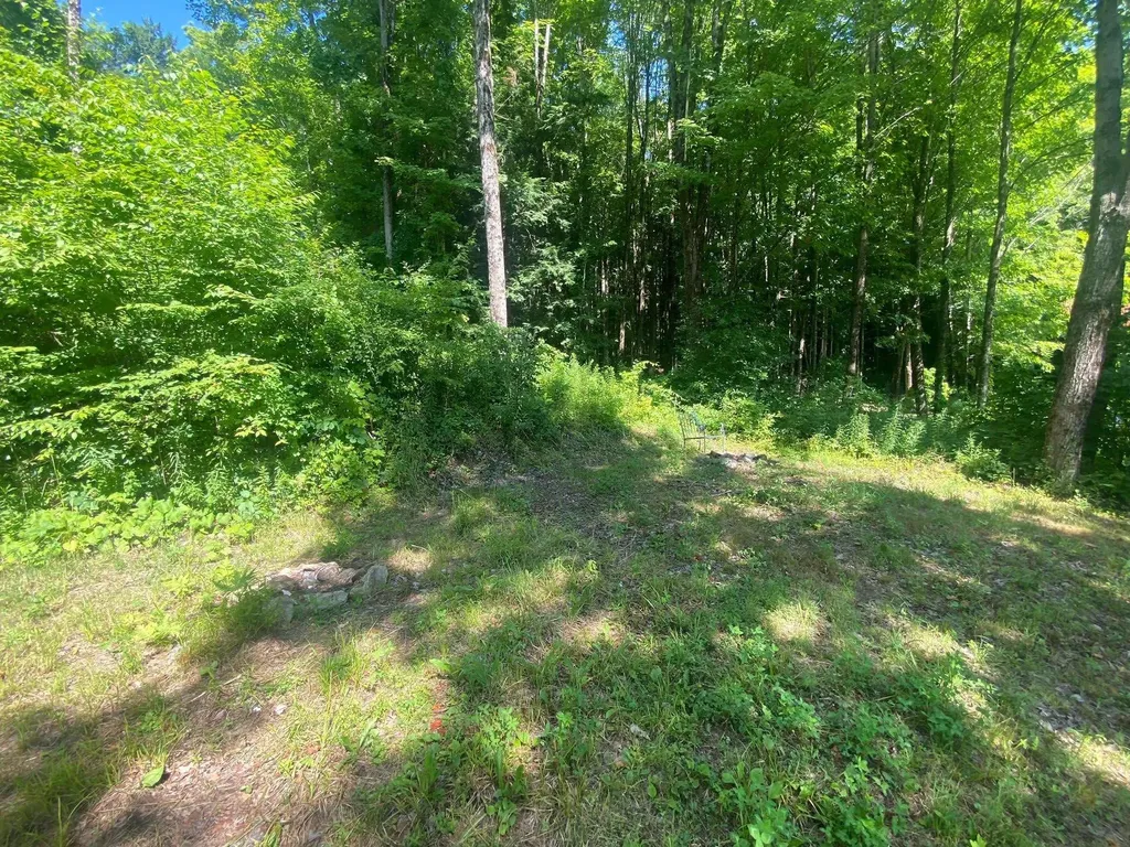 171 Southridge Street Springfield VT 05156