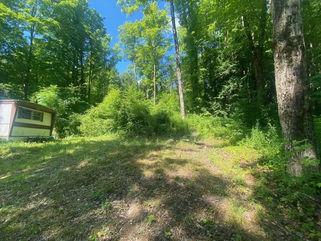 171 Southridge Street Springfield VT 05156