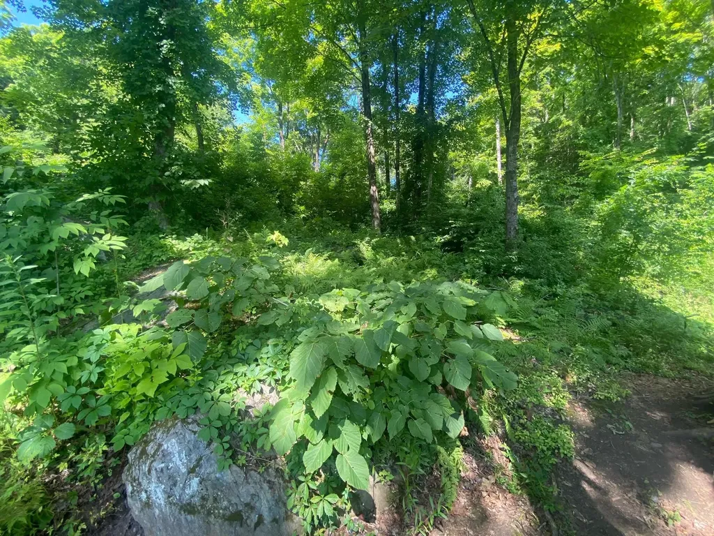 171 Southridge Street Springfield VT 05156