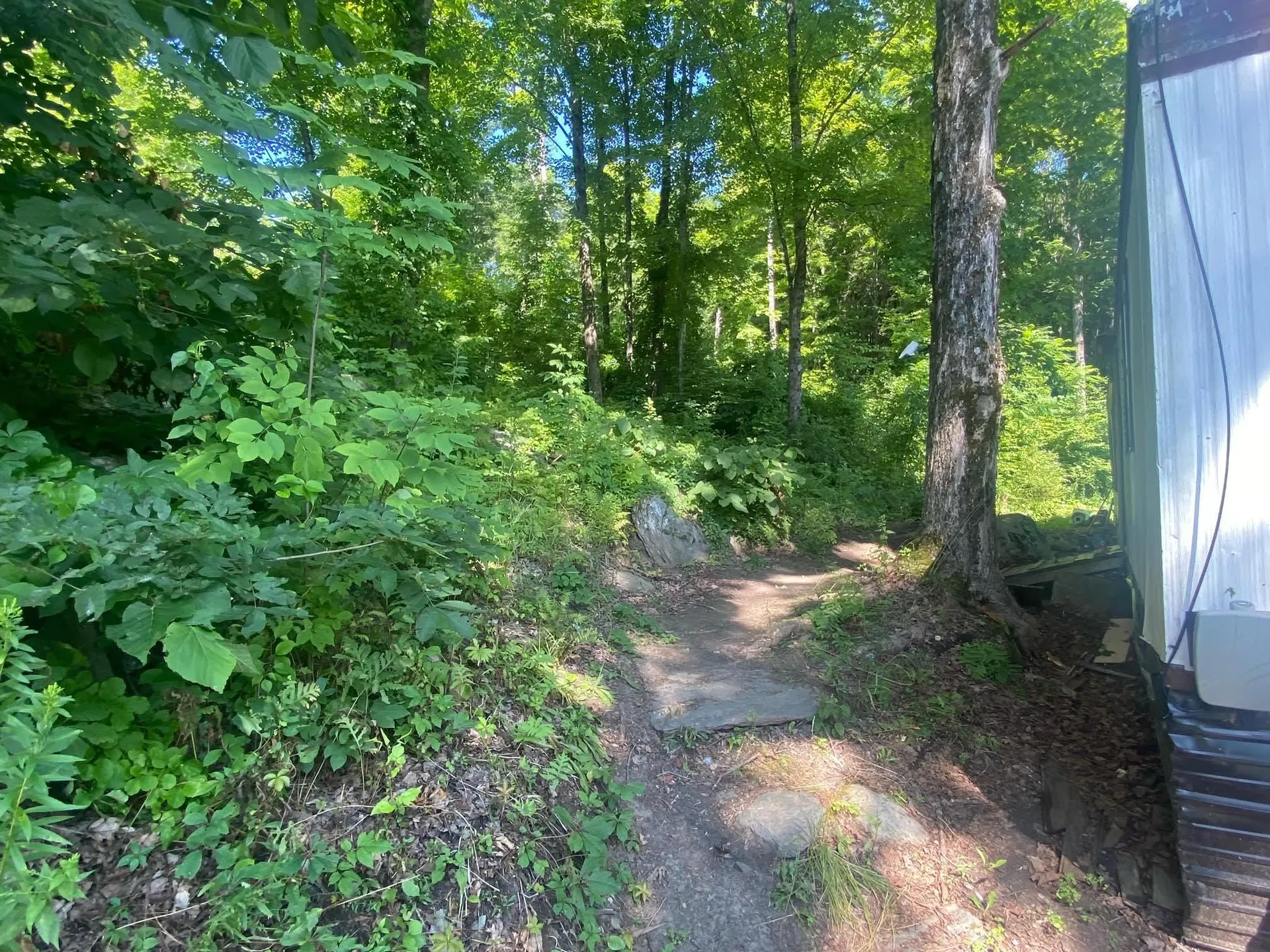 171 Southridge Street Springfield VT 05156