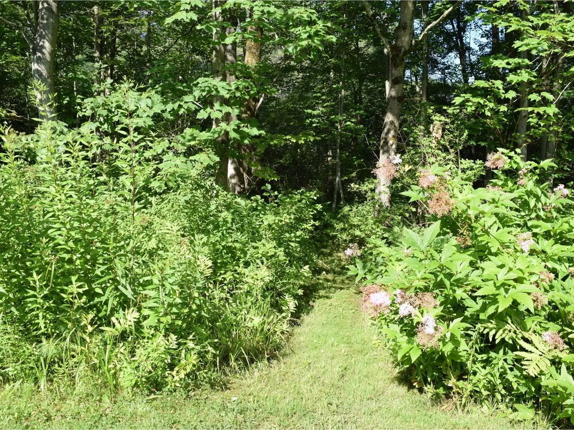21 Frederick Road Essex Junction VT 05452