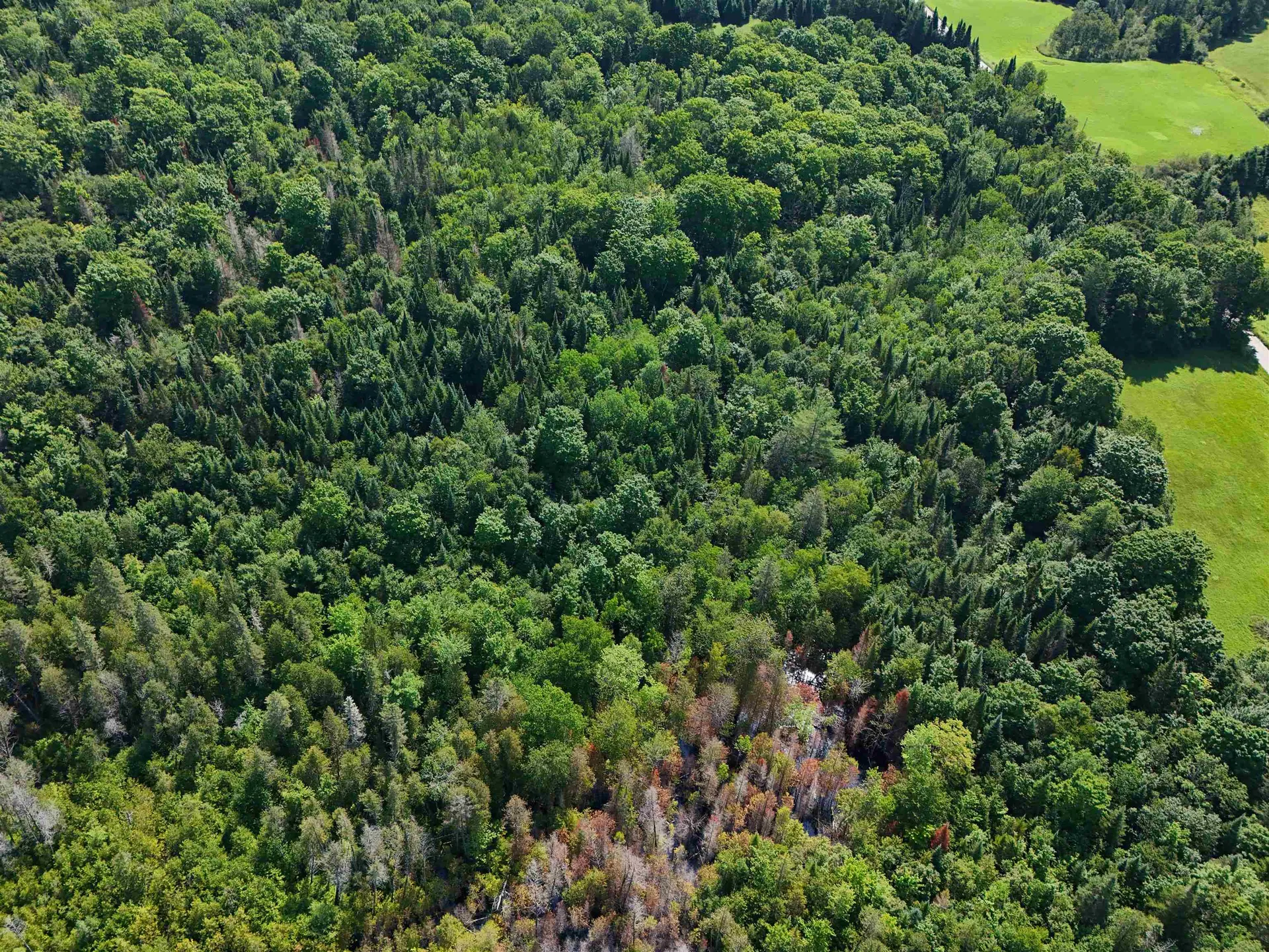 Lot 2b Wheelock Road Danville VT 05828