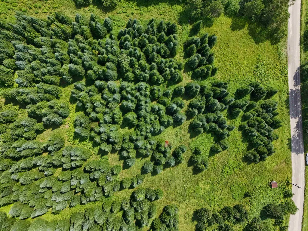 Lot 2a Tampico Road Danville VT 05828