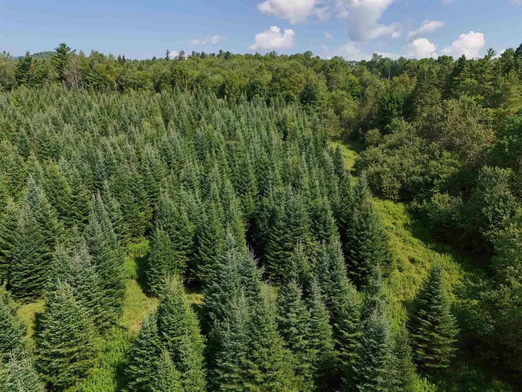 Lot 2a Tampico Road Danville VT 05828