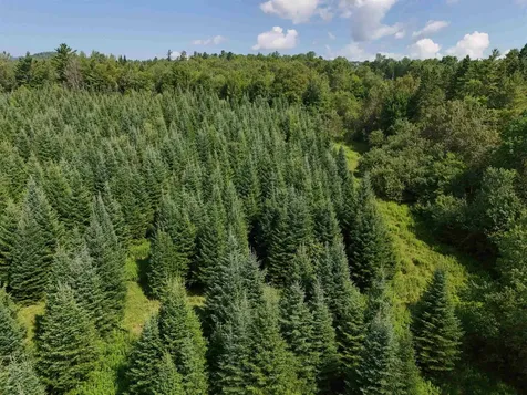 Lot 2a Tampico Road Danville VT 05828