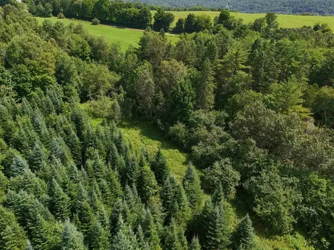 Lot 2a Tampico Road Danville VT 05828