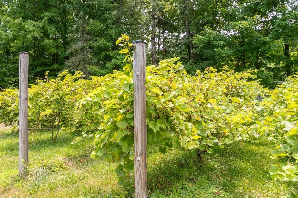 23 Twist Hill Road Dunbarton NH 03046