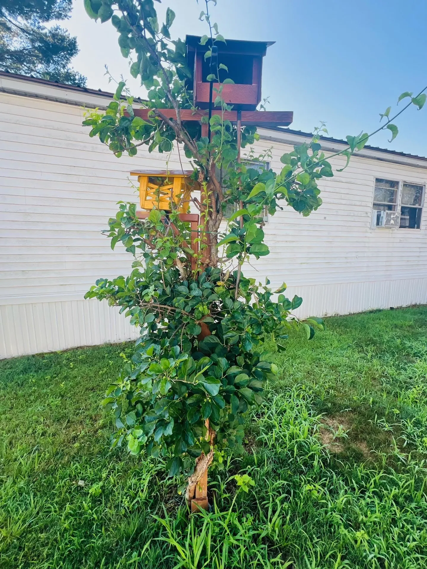 16 Robbins Street Hinsdale NH 03451