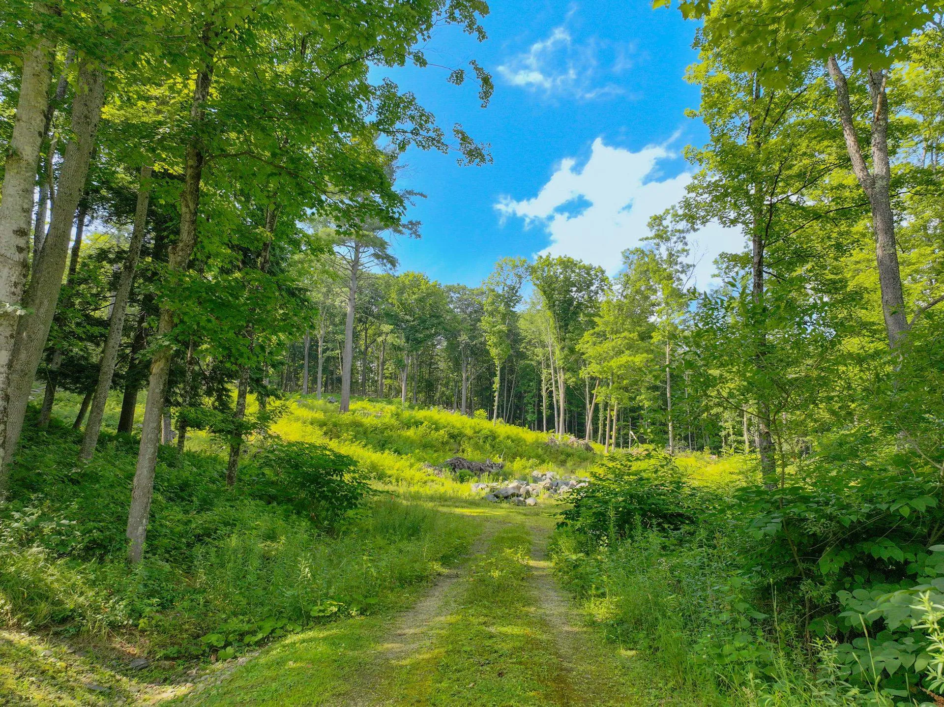 0 Rose Hill Road Woodstock VT 05091