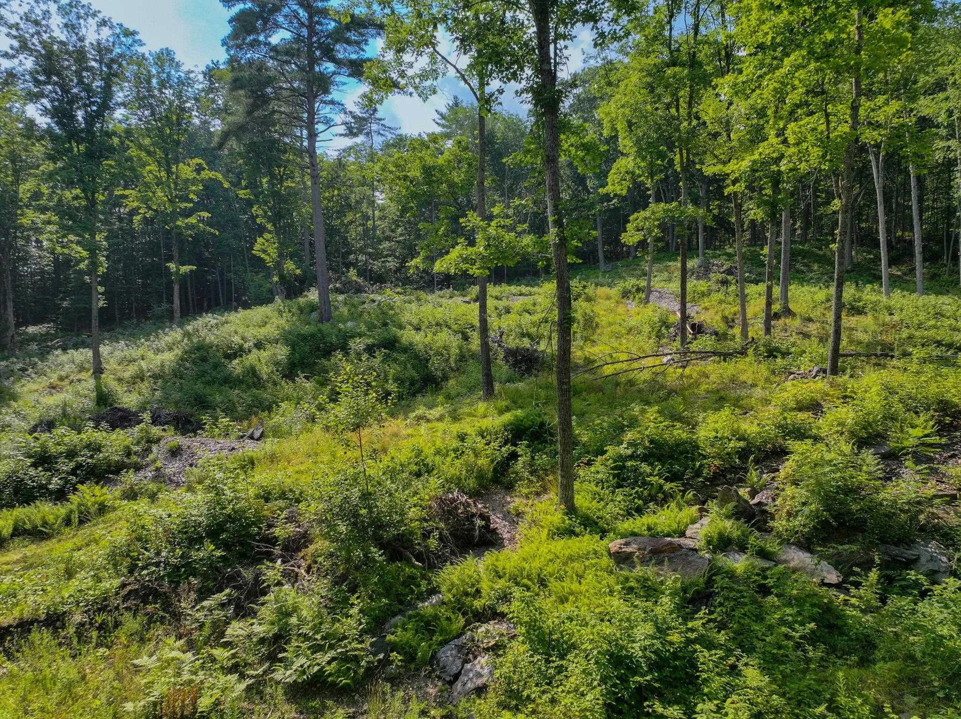 0 Rose Hill Road Woodstock VT 05091