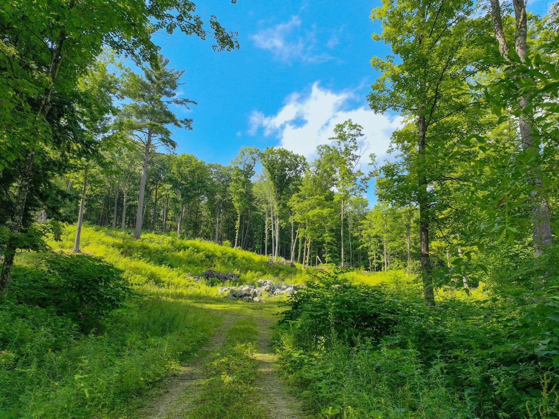 0 Rose Hill Road Woodstock VT 05091