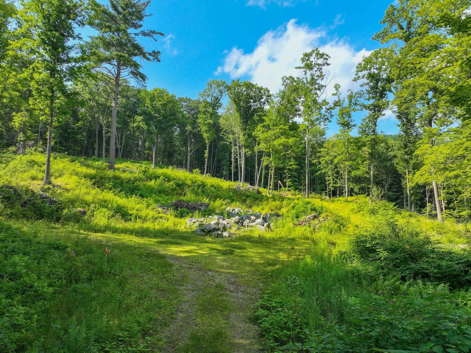 0 Rose Hill Road Woodstock VT 05091