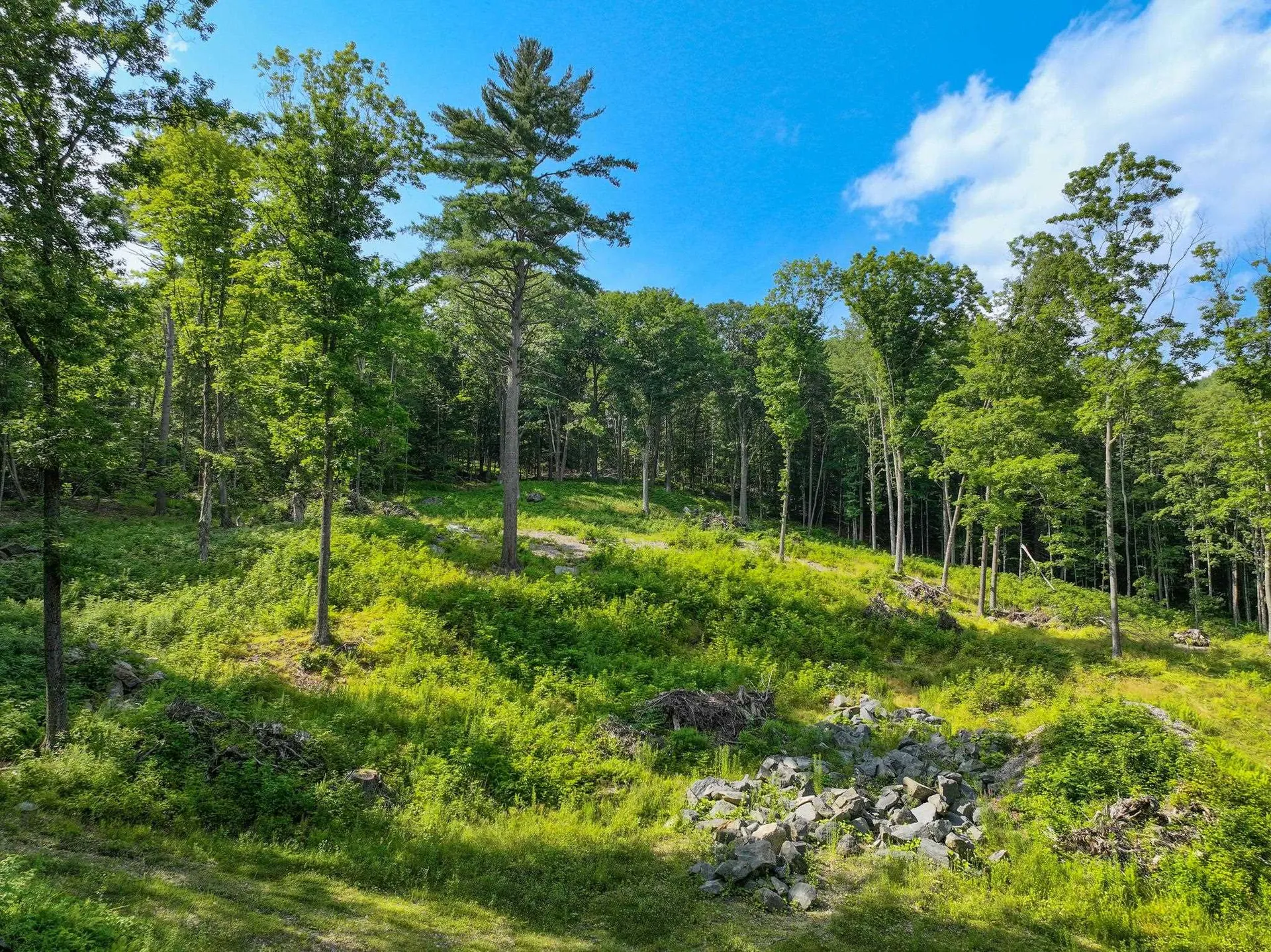 0 Rose Hill Road Woodstock VT 05091