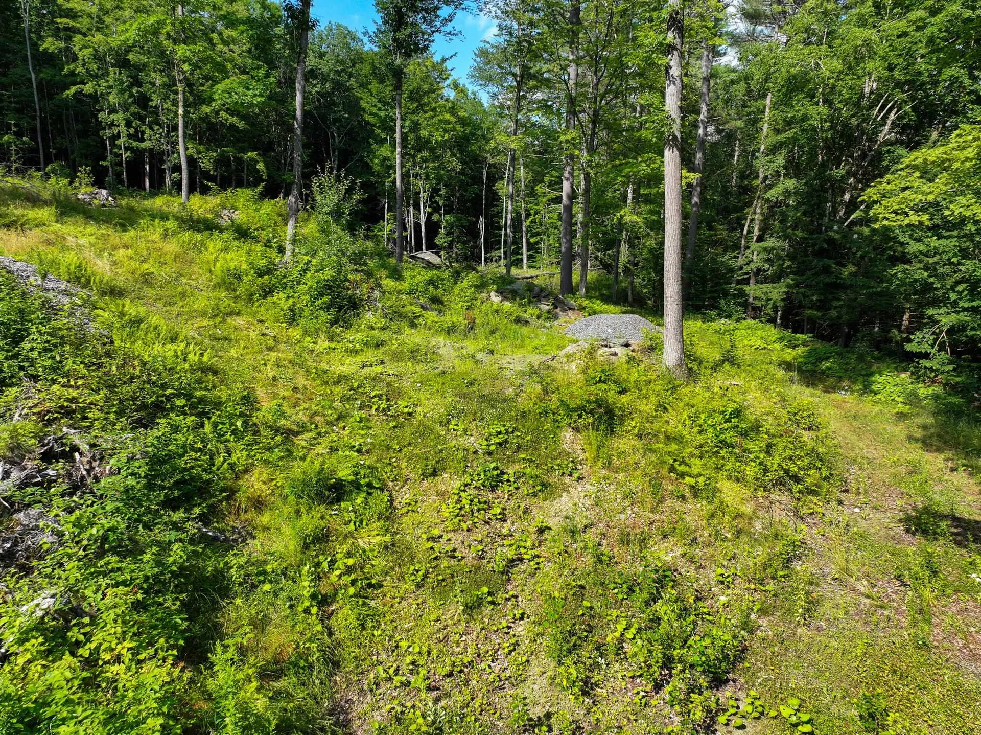 0 Rose Hill Road Woodstock VT 05091