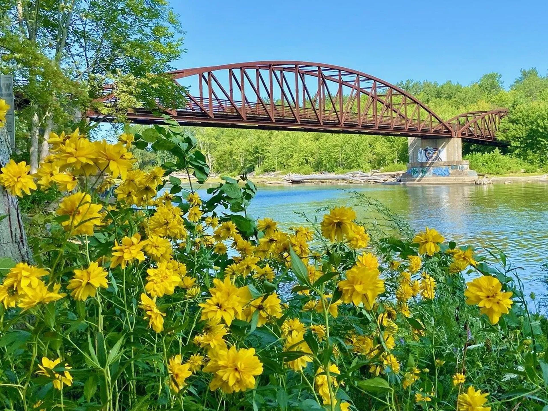 110 North Cove Road Burlington VT 05408