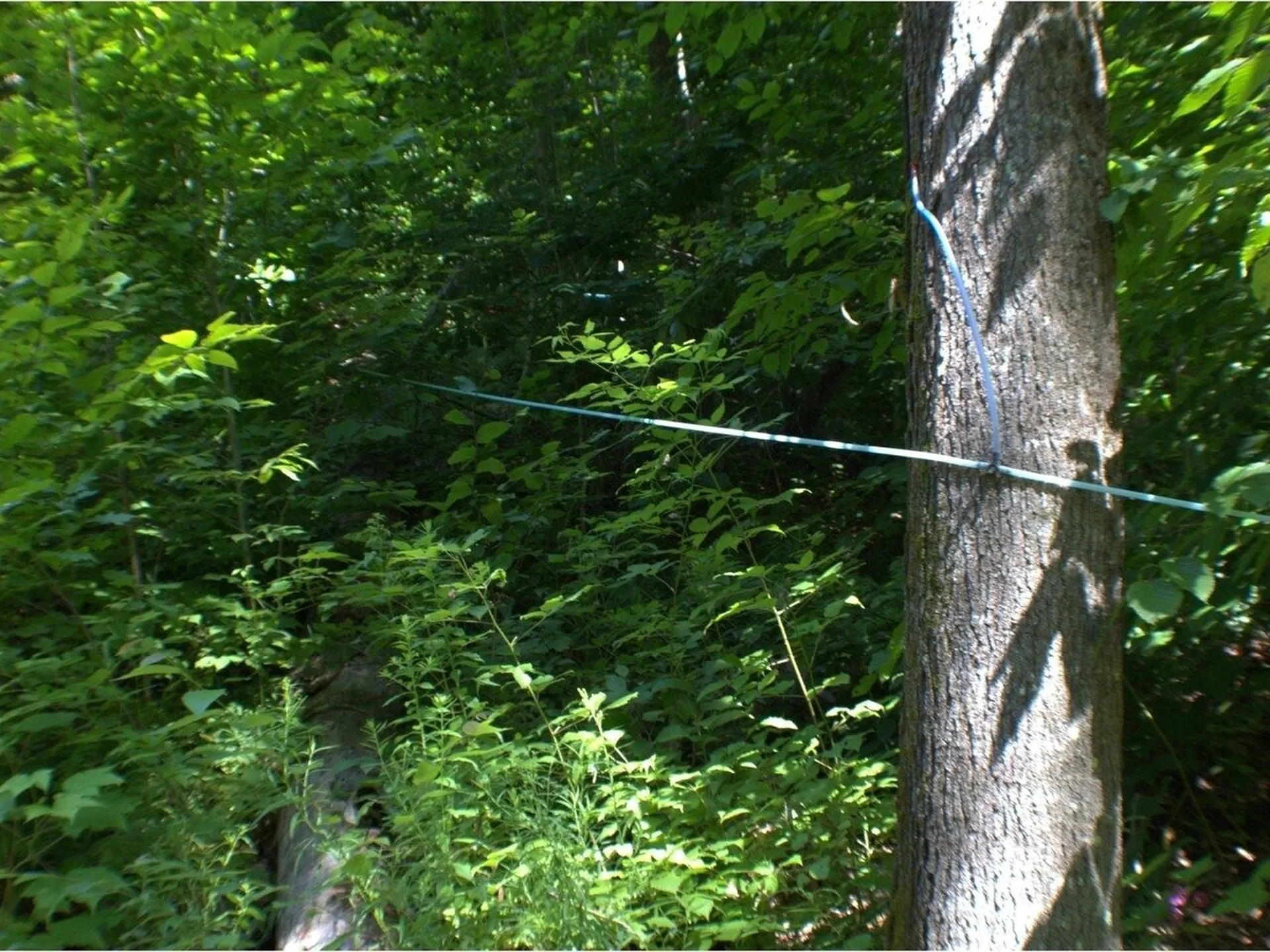 3451 Big Hollow Road Starksboro VT 05487