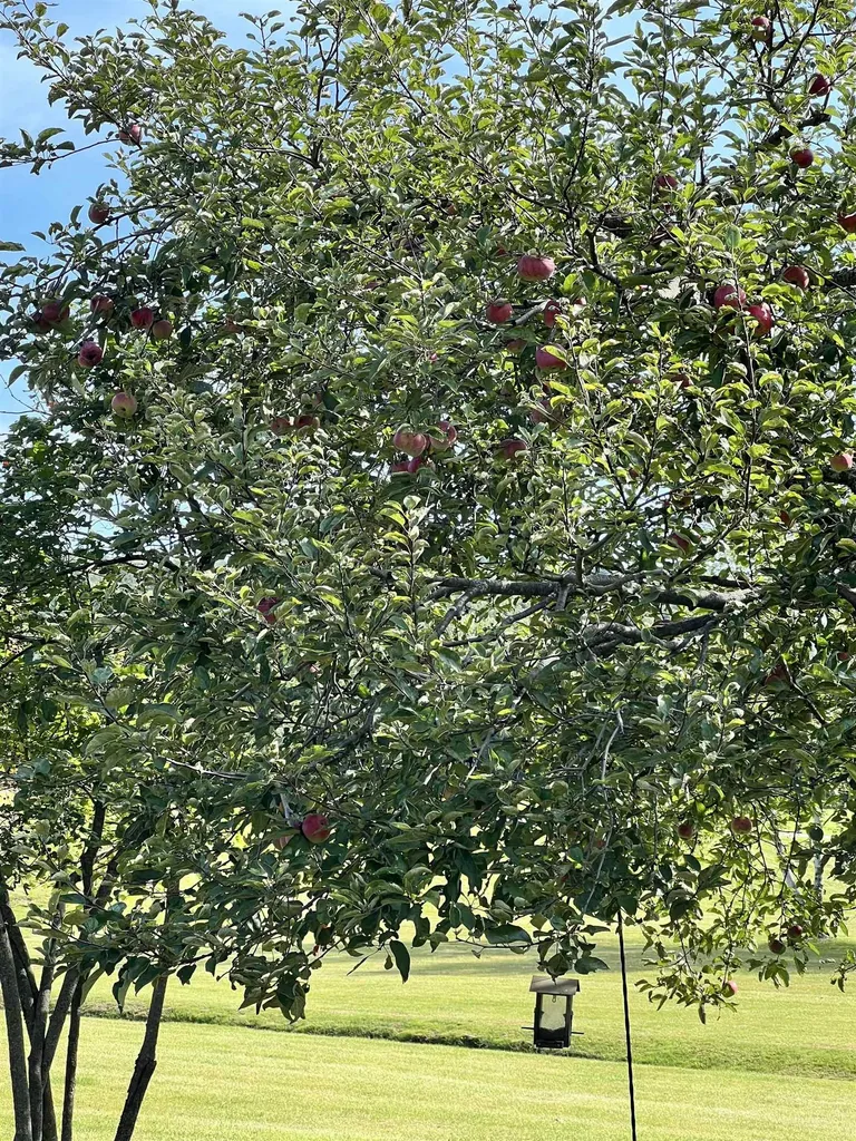 5410 Berkshire Center Road Berkshire VT 05450