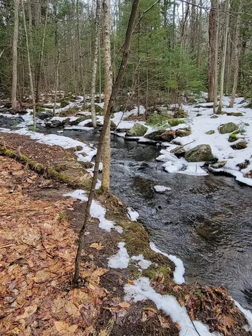 304 Route 103 Sunapee NH 03782-3515