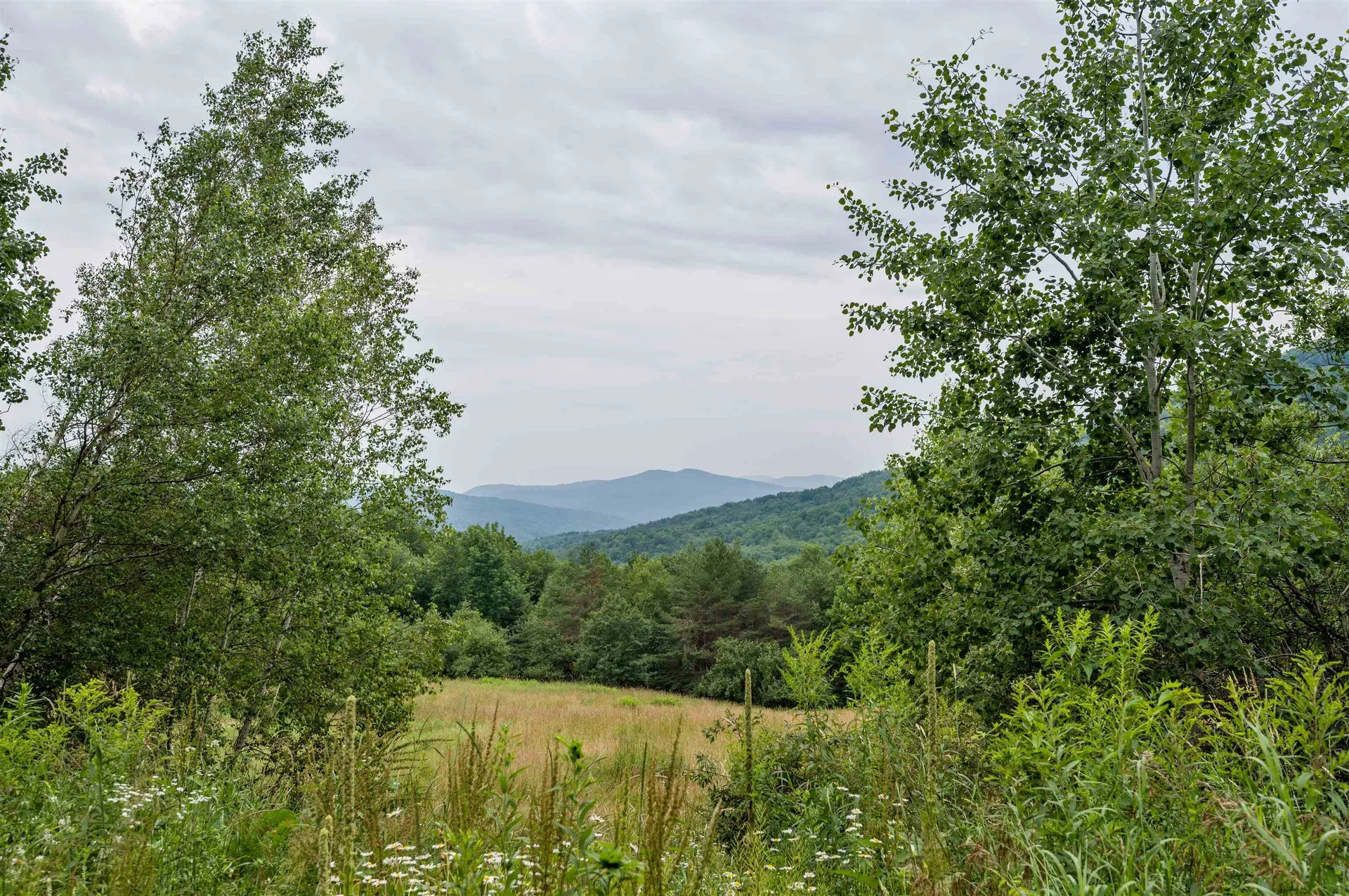 106 Davy Road Middlesex VT 05602