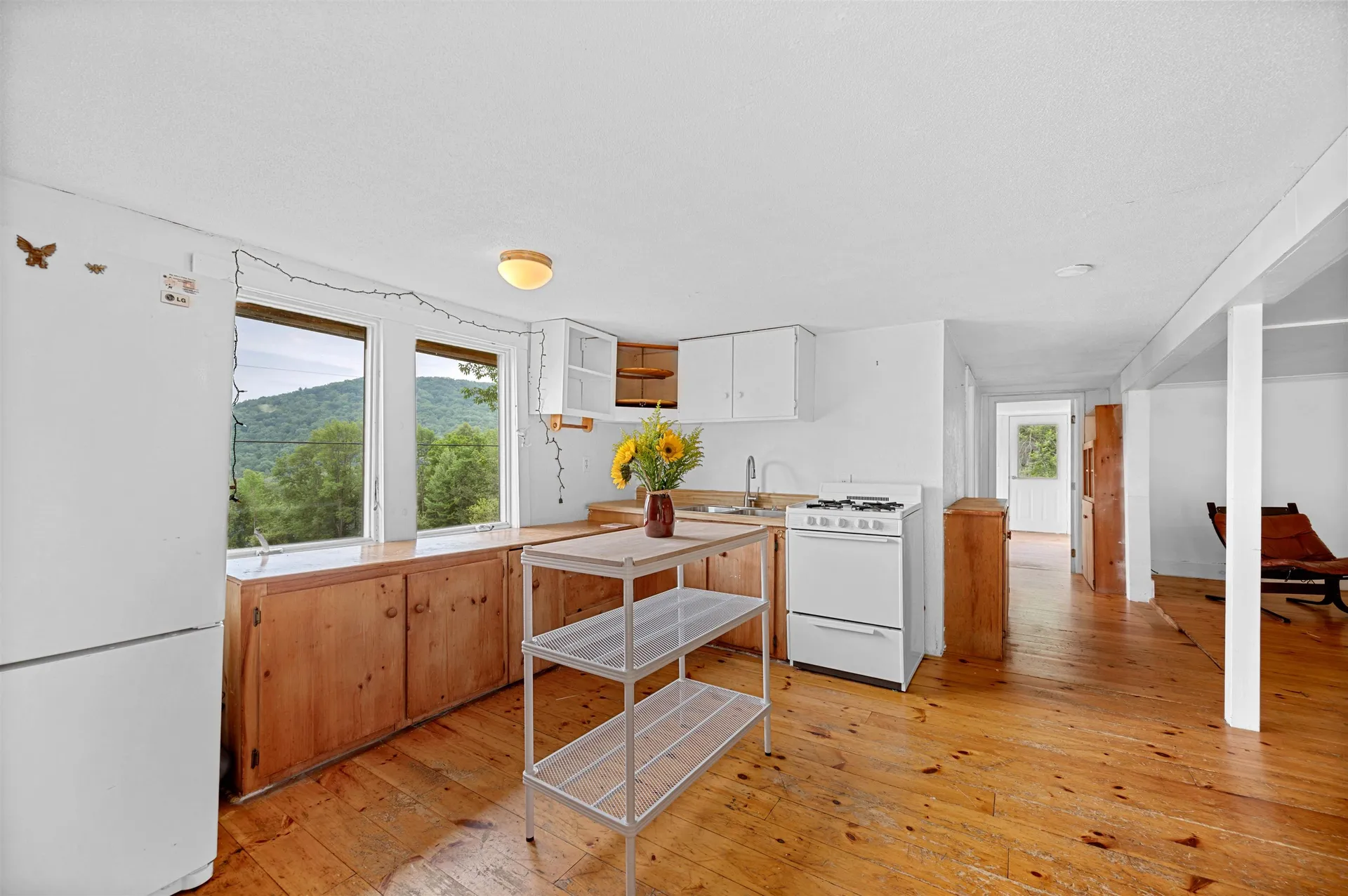 106 Davy Road Middlesex VT 05602