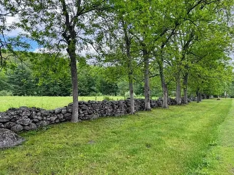 793 Grassy Brook Road Brookline VT 05345